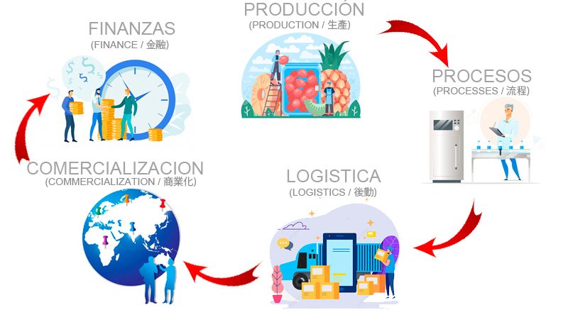 cadena de valor de santa rafaela export desde produccion a finanzas